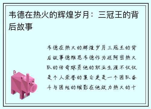 韦德在热火的辉煌岁月：三冠王的背后故事