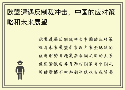 欧盟遭遇反制裁冲击，中国的应对策略和未来展望