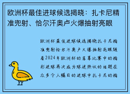 欧洲杯最佳进球候选揭晓：扎卡尼精准兜射、恰尔汗奥卢火爆抽射亮眼